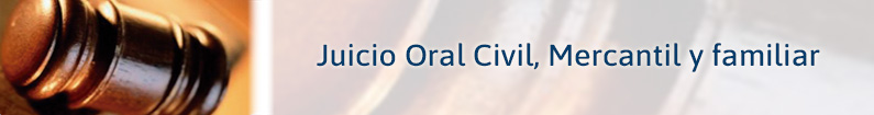 Banner - El Juicio Oral Civil, Mercantil y Familiar